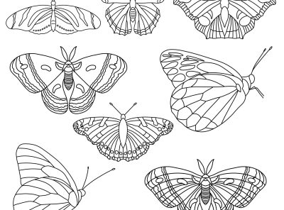 Procreate Butterfly Brush Stamps