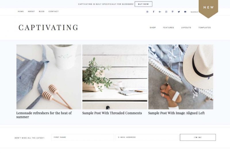 Minimalist Blog Design - Captivating Theme