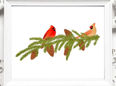 Cardinal Birds Printable