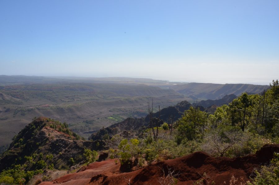 Waimea Canyon