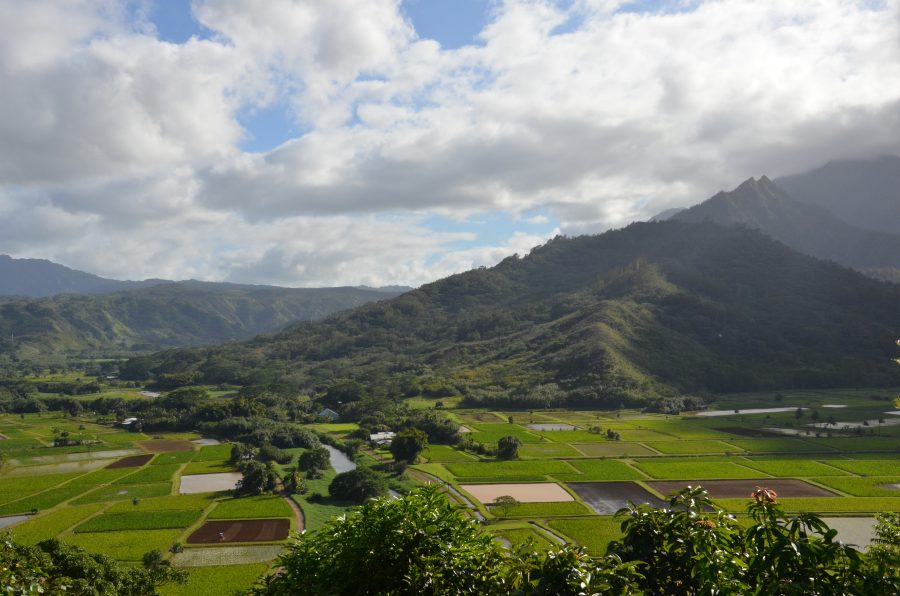 Hanalei Valley Overlook