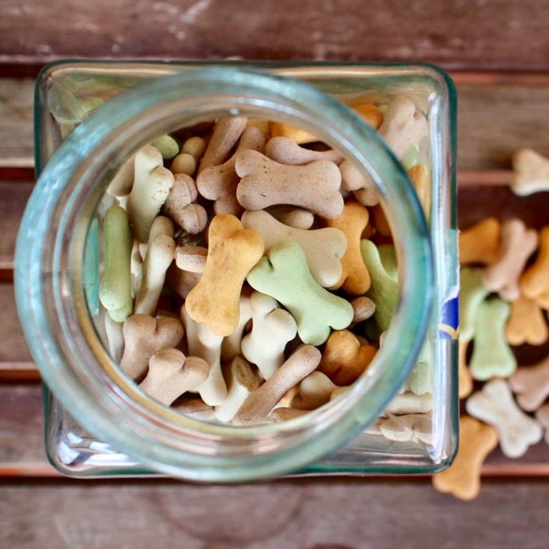 Homemade Dog Treats