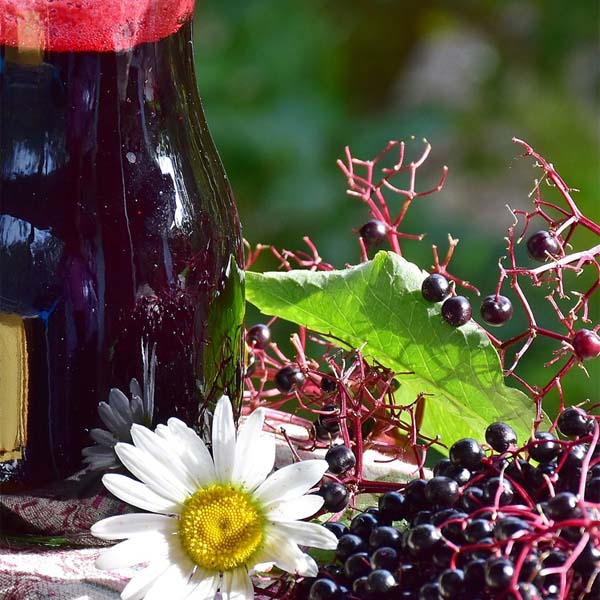 How to Make Elderberry Syrup Recipe