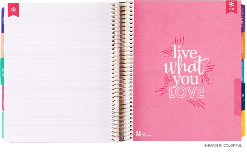 Erin Condren Life Planner Monthly Notes