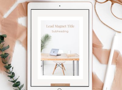 Lead Magnet Template Canva PLR
