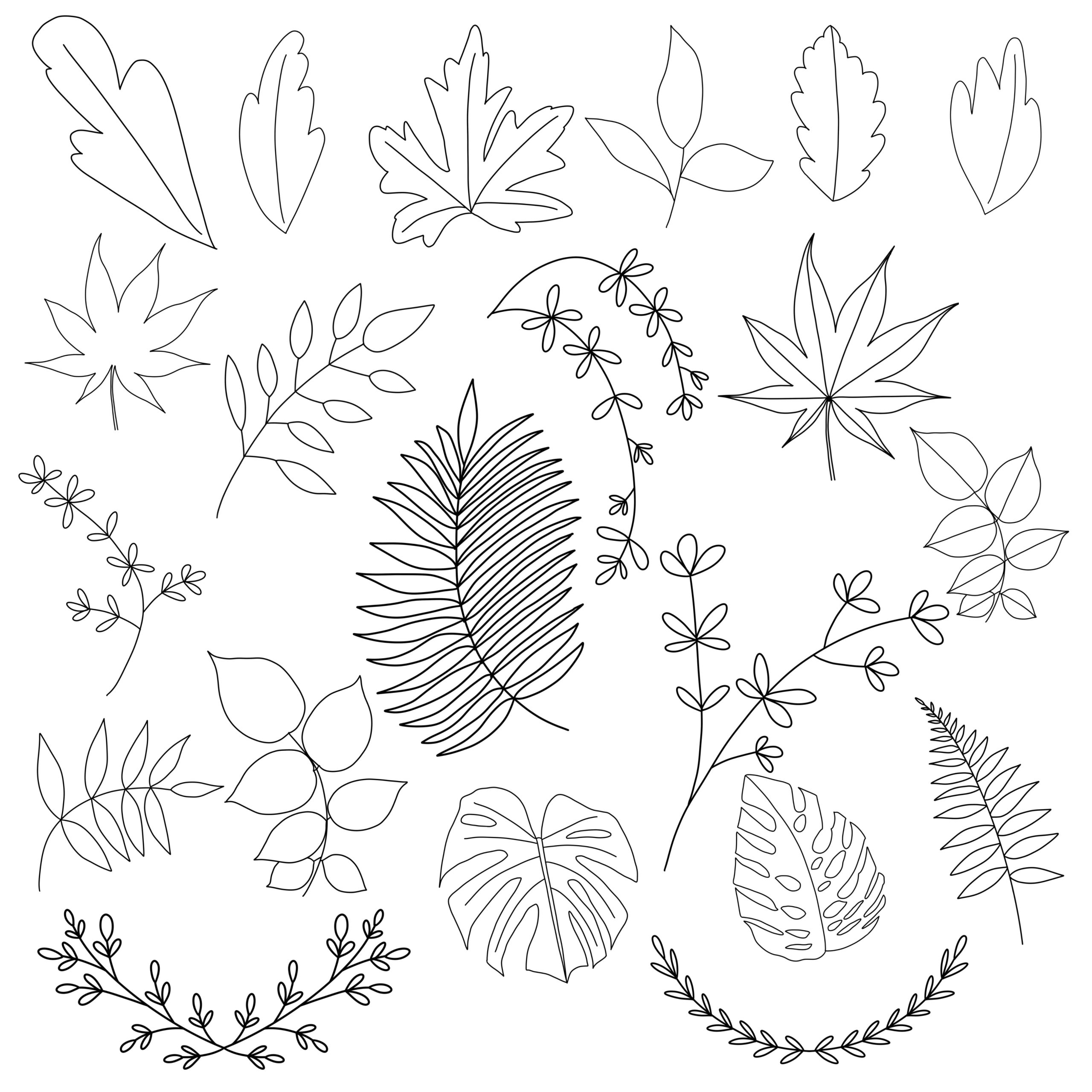 Procreate Leaf Brush Stamps