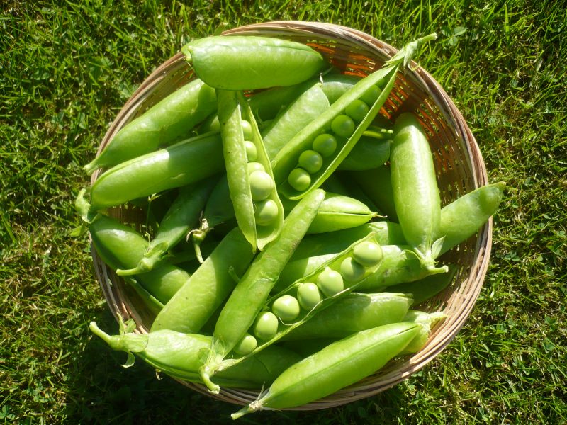 peas